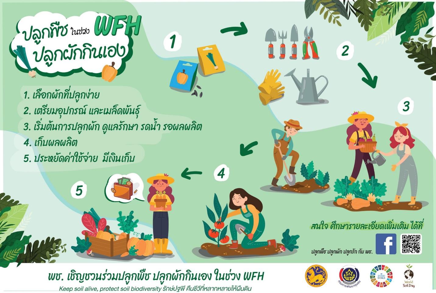 พช. ชวนคนไทยปลูกผักสวนครัว  ในช่วง WORK FROM HOME