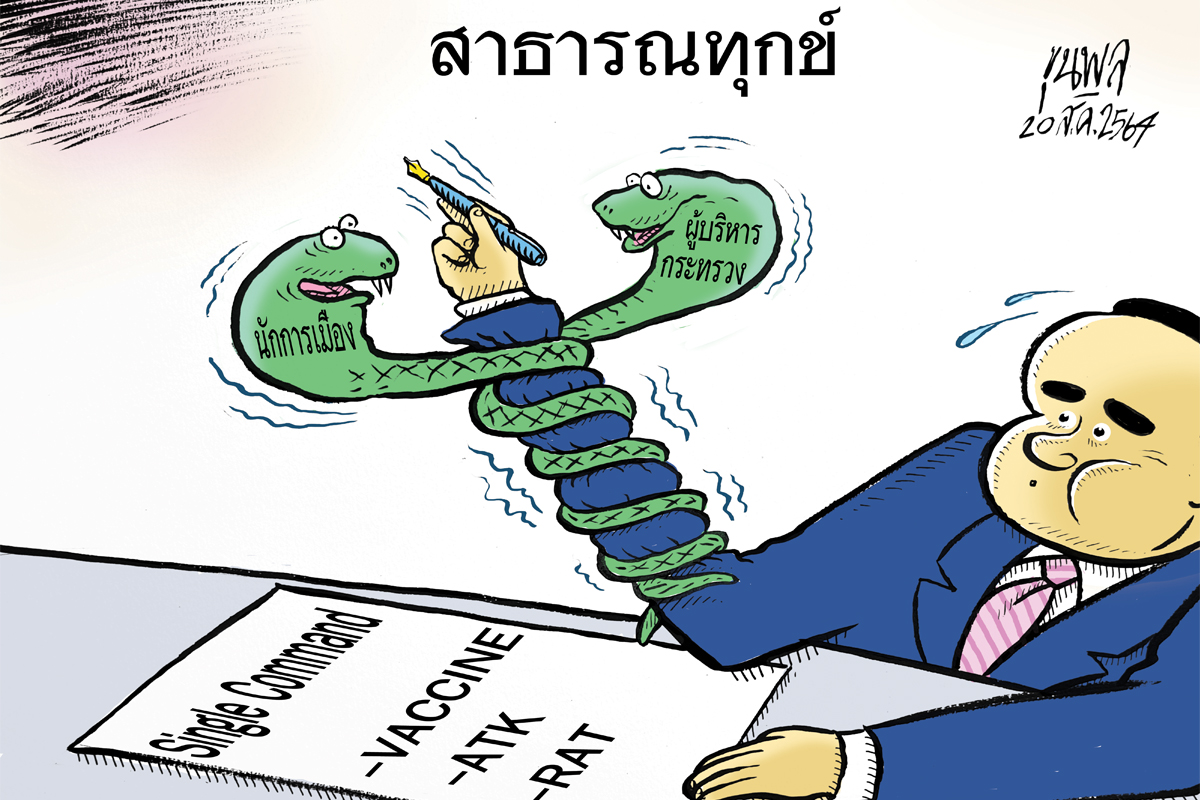 การ์ตูนขุนพล : สาธารณทุกข์