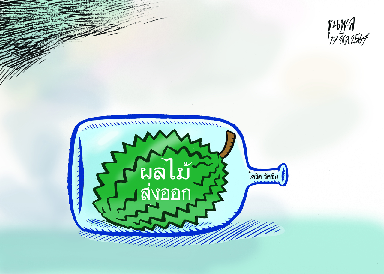 การ์ตูนขุนพล : ผลไม้ส่งออก – โควิด วัคซีน