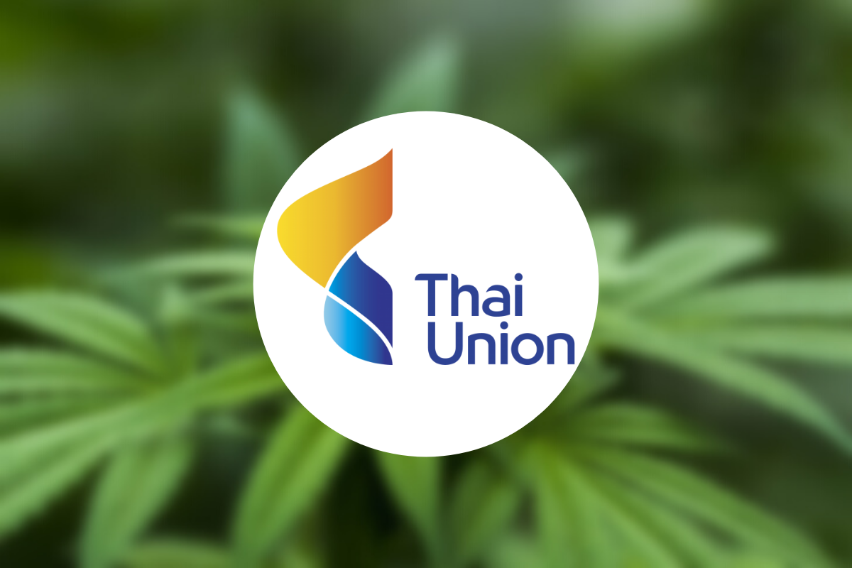 ทียูเท 3 พันล้าน ลงทุน อาร์ แอนด์ บี ฟู้ด ซัพพลาย ต่อยอดสารสกัดกัญชง