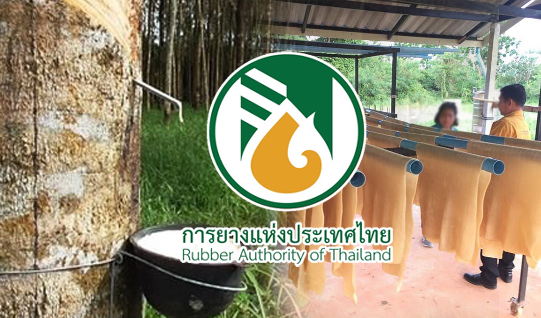 ฝุ่นตลบ “สรรหา” รองผู้ว่าการ กยท. คนนอก