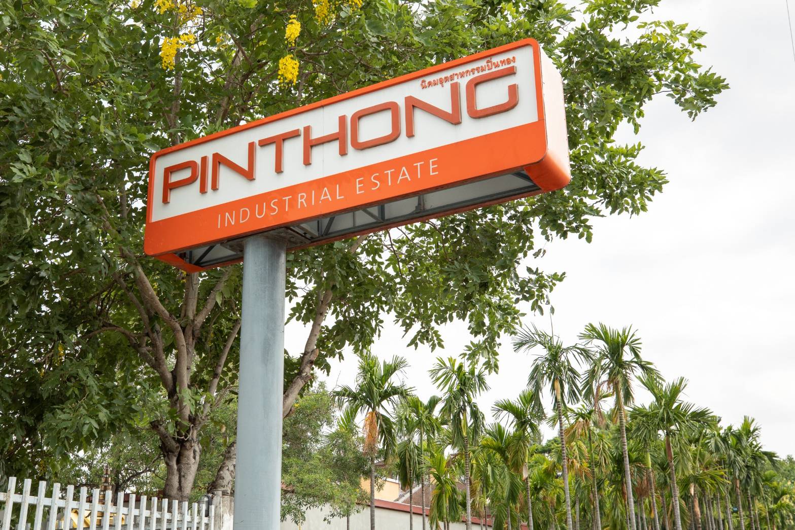 PIN เร่งเครื่องลงทุนสร้างฐานรายได้หวัง 3 ปี ดันสัดส่วนรายได้ 50%