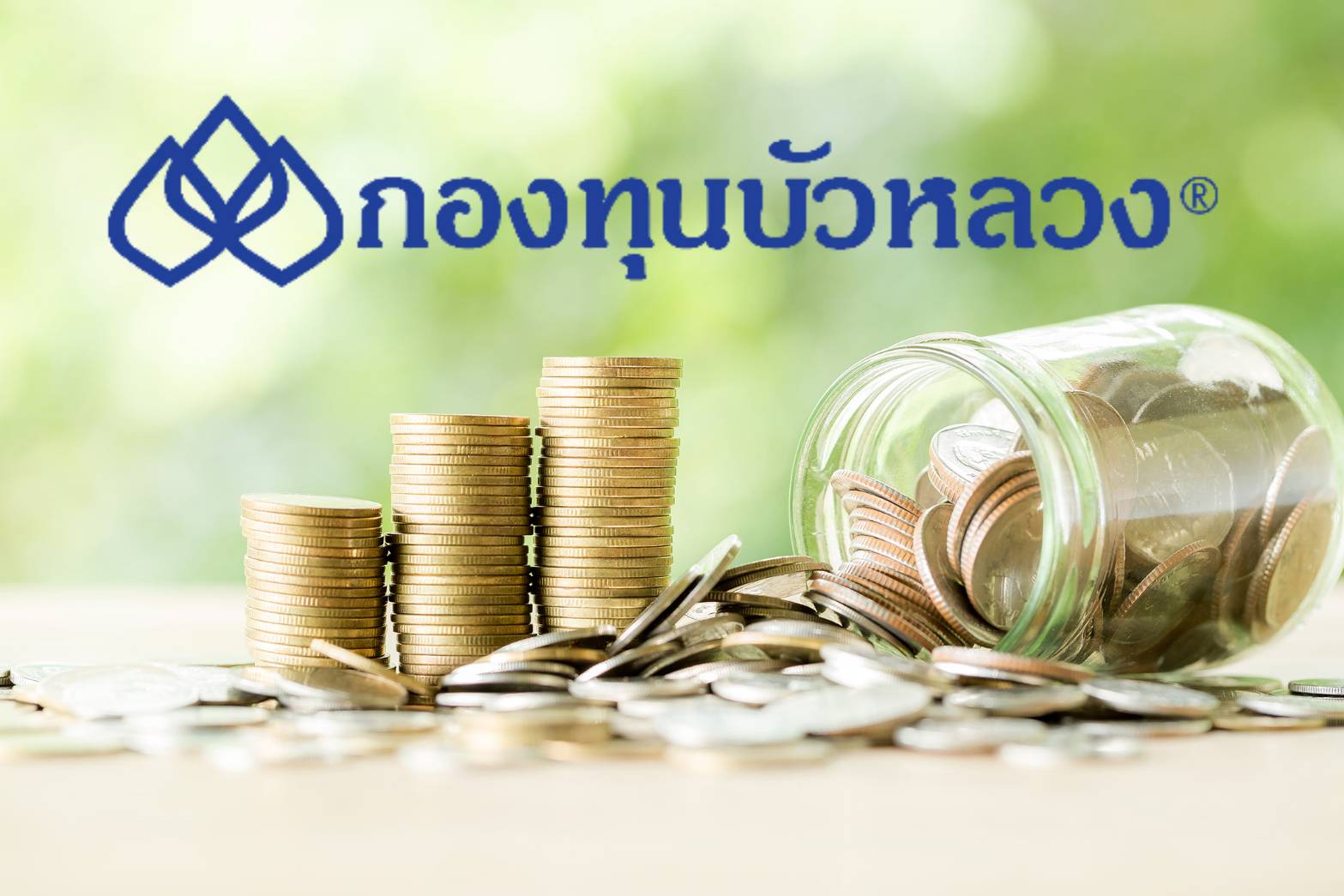 บัวหลวง เปิดขายกองทุนเทอมฟันด์ 12 -18 ต.ค. ซื้อขั้นต่ำ 5 แสนบาท
