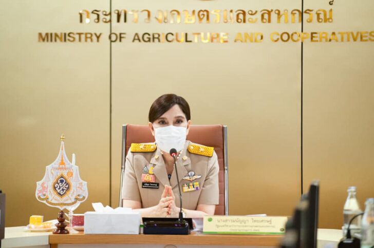 มนัญญา สั่งยึดทรัพย์ อดีตกรรมการสโมสรรถไฟ เตรียมขายทอดตลาด มนัญญา สั่งยึดทรัพย์ อดีตกรรมการสโมสรรถไฟ เตรียมขายทอดตลาด