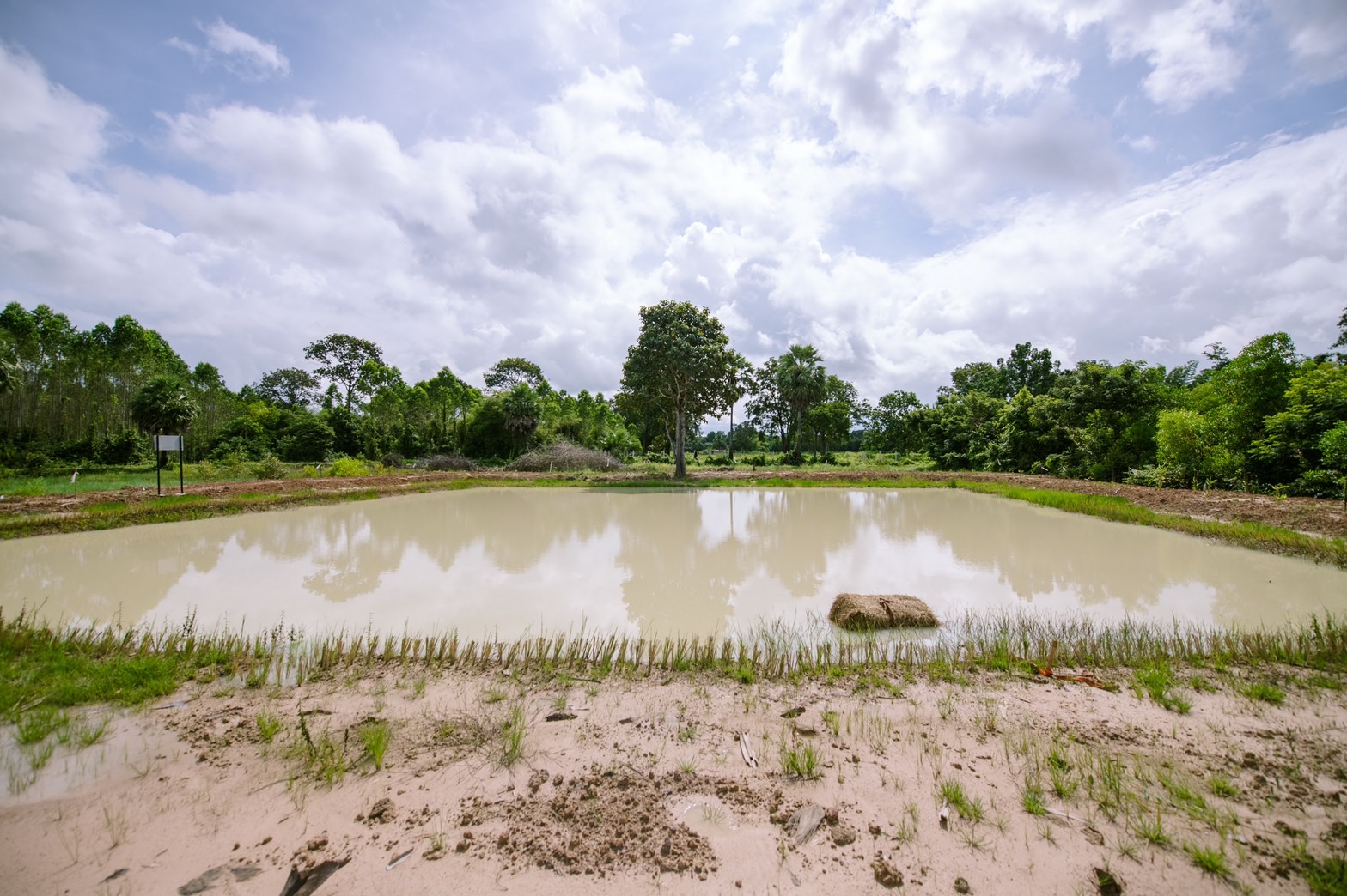 1 ตำบล 1 กลุ่มเกษตรทฤษฎีใหม่ ฟื้นฟูเศรษฐกิจระยะสั้นเเล้ว 70 จังหวัด
