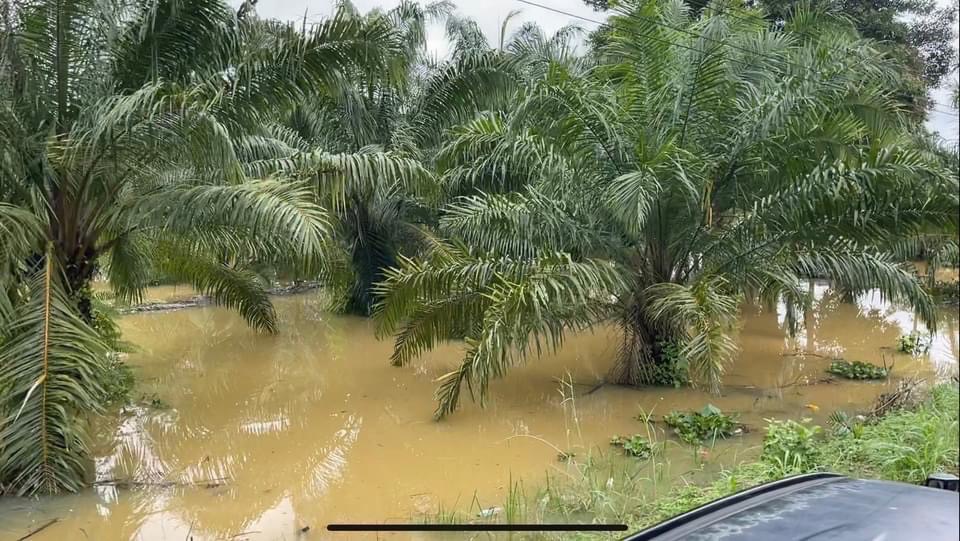 หวั่นพายุคมปาซุ ถล่มซ้ำผลไม้จันทบุรี-ตราด เร่งเยียวยา 45 จังหวัด