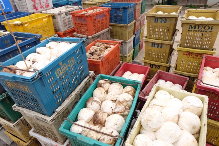 สินค้าไทยเจาะตลาดจีน สินค้าไทยเจาะตลาดจีน