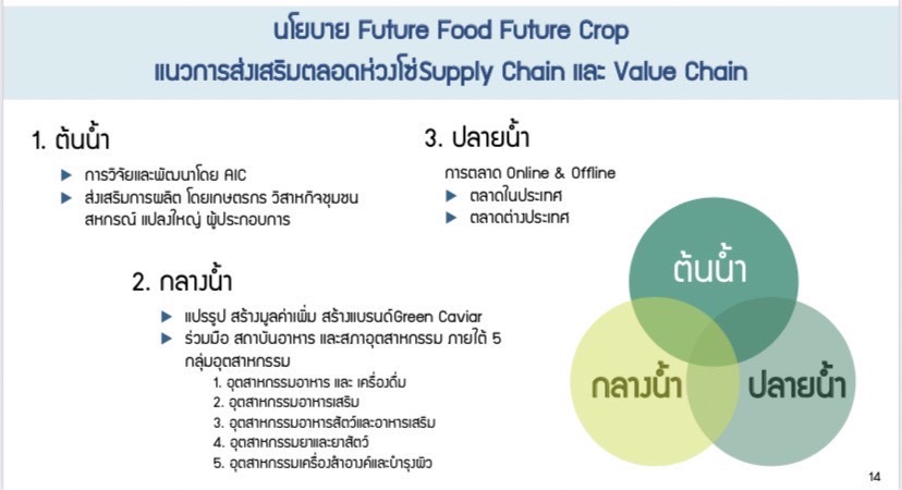 future food