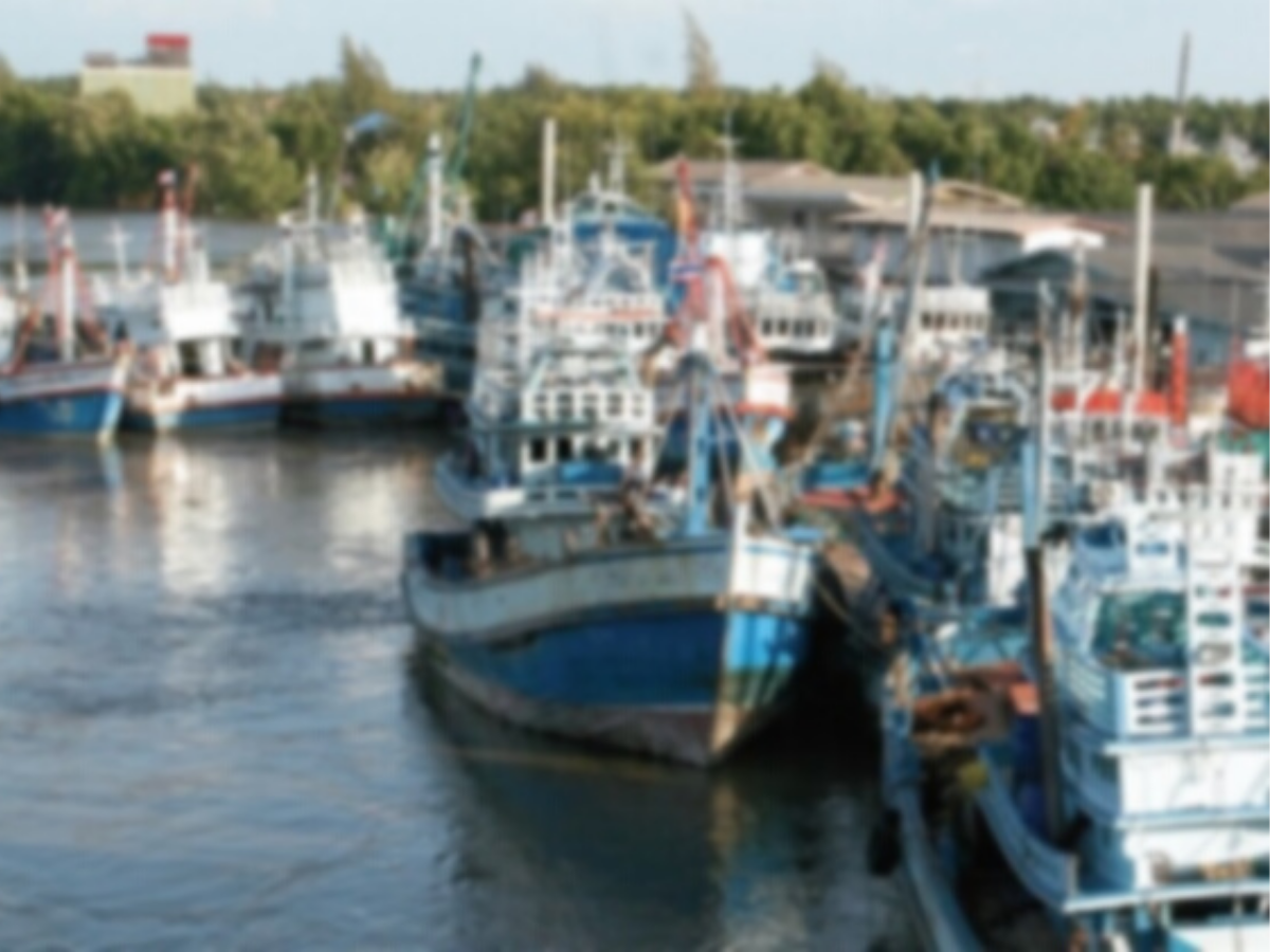 ประมง 22 จังหวัด จ่อขายเรือทิ้ง 2 หมื่นลำ ทำต่อไม่ไหวแล้ว