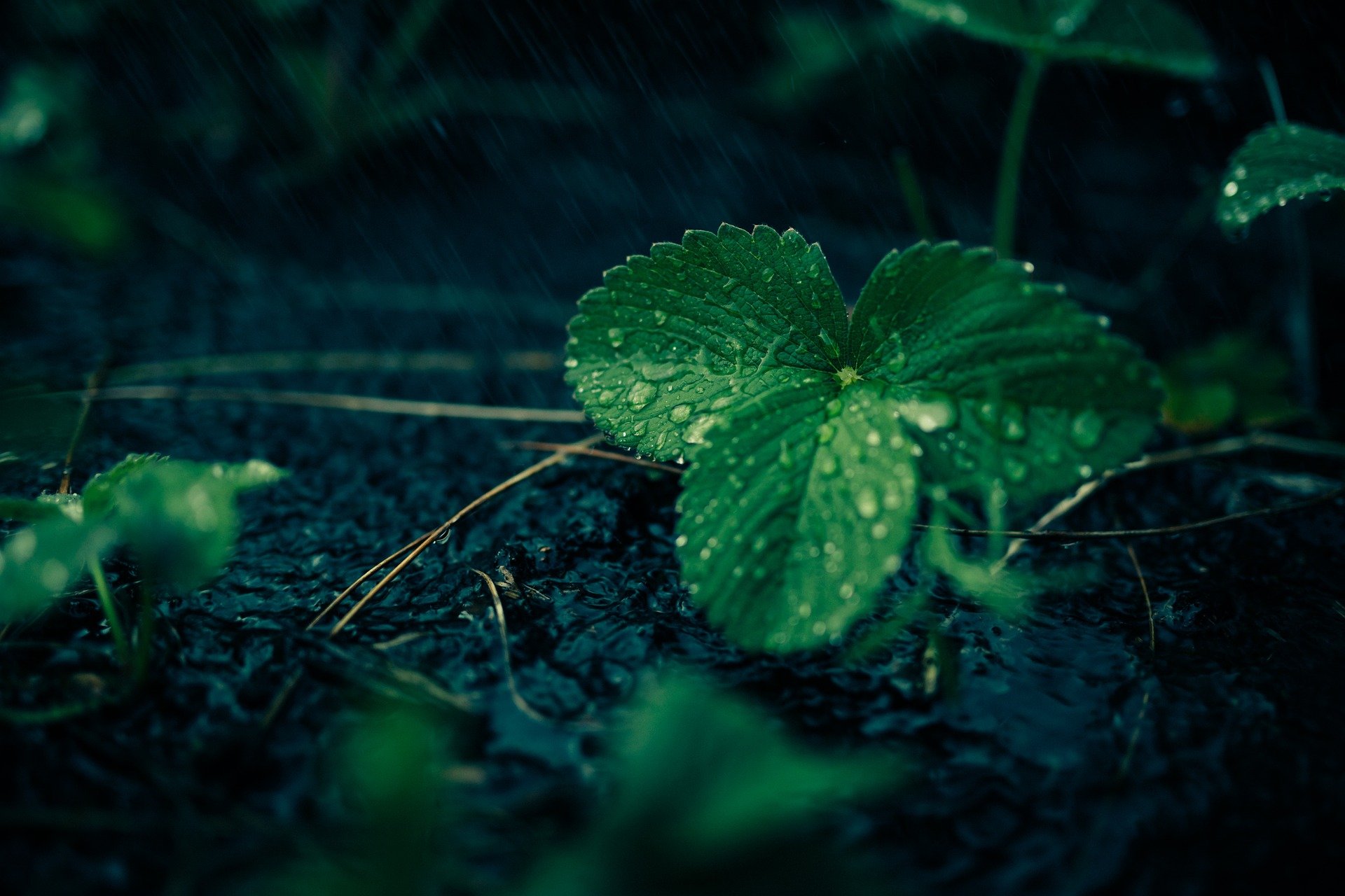 เตือนพายุคมปาซุ ฉบับที่ 6 ฝนตกหนักภาคอีกสาน 13-14 ต.ค.
