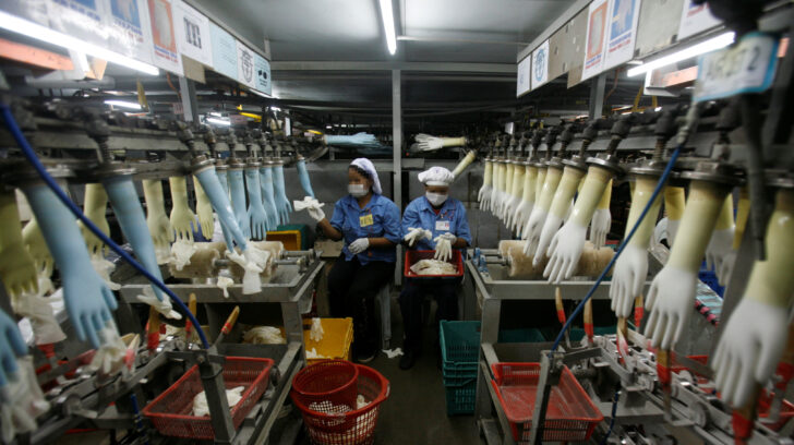 FILE PHOTO: Workers collect rubber gloves at Top Glove's factory in Klang