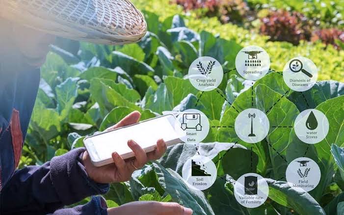 บีโอไอปรับมาตรการส่งเสริมลงทุนภาคเกษตร ผลักดันไทยก้าวสู่ Bio Hub อาเซียน