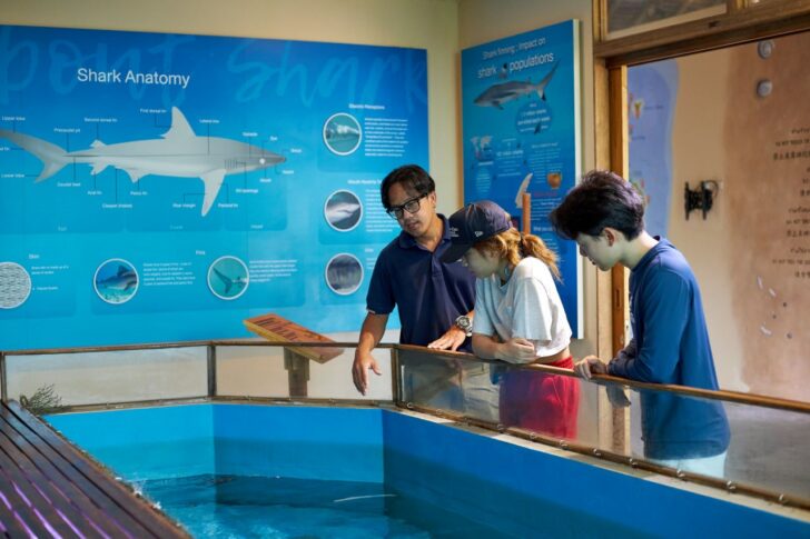 นักวิทยาศาสตร์ทางทะเลประจำ MDC ให้ความรู้เกี่ยวกับฉลามแก่นักท่องเที่ยวที่สนใจ