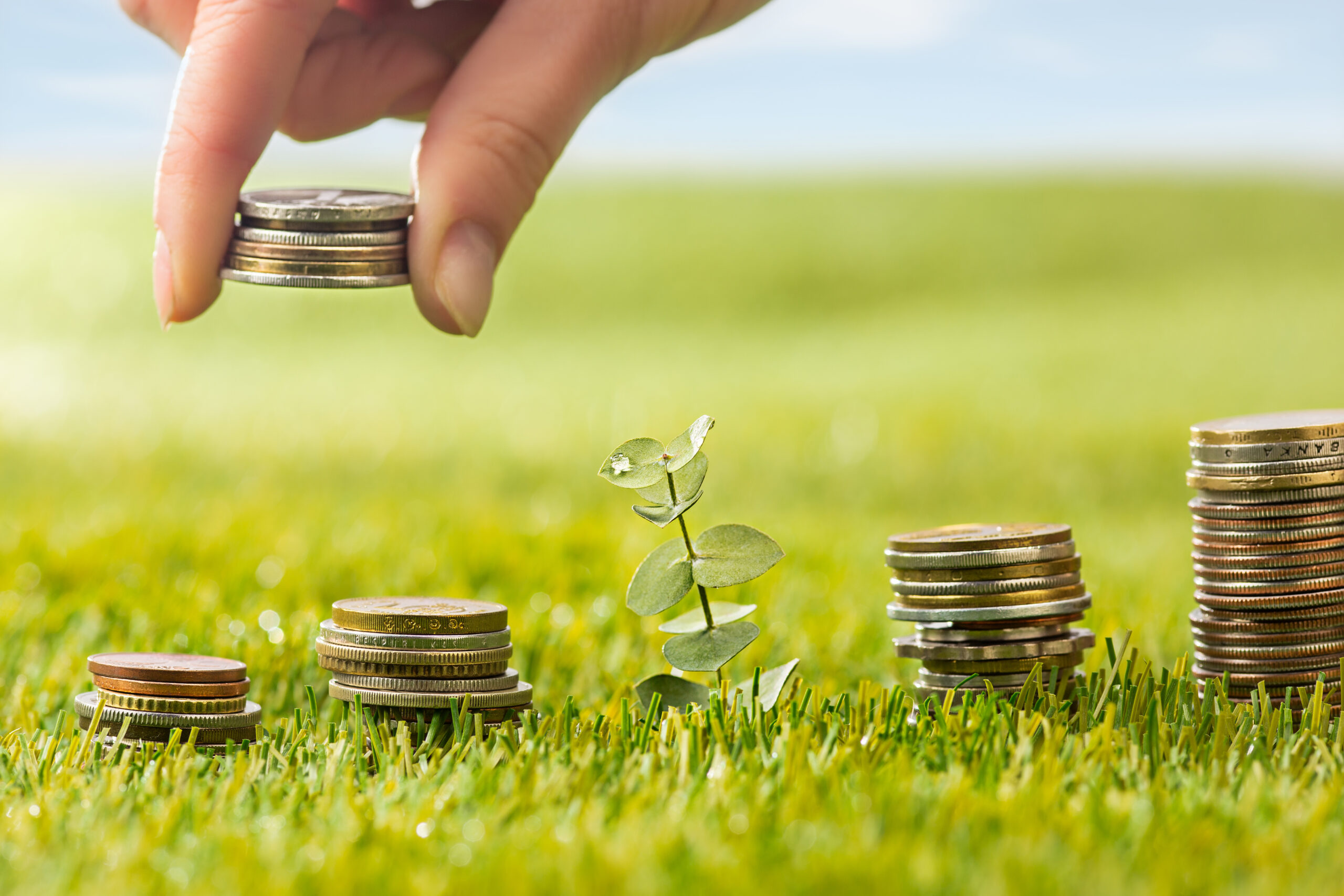 ลงทุนวิถีใหม่ “Sustainable Investment” เน้นยั่งยืน รับผลตอบแทนระยะยาว – การเงิน