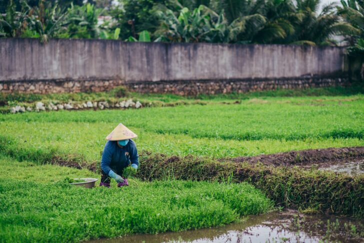อิสราเอล รับแรงงานเกษตร 6,500 คน เงินเดือน 5.5 หมื่น เช็กคุณสมบัติ อิสราเอล รับแรงงานเกษตร 6,500 คน เงินเดือน 5.5 หมื่น เช็กคุณสมบัติ