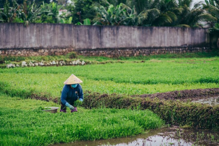 อิสราเอล รับแรงงานเกษตร 6,500 คน เงินเดือน 5.5 หมื่น เช็กคุณสมบัติ