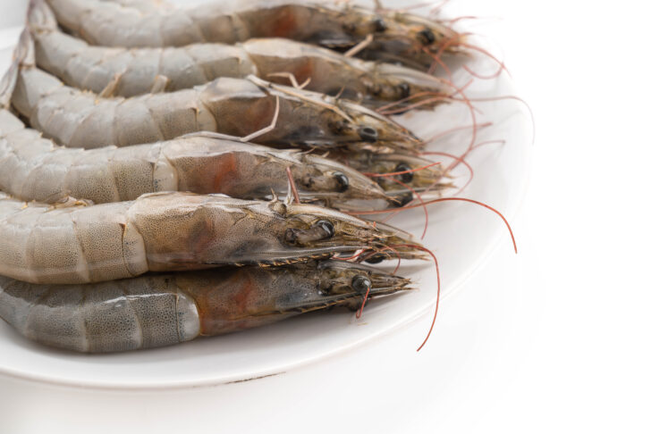 กุ้ง กุ้ง