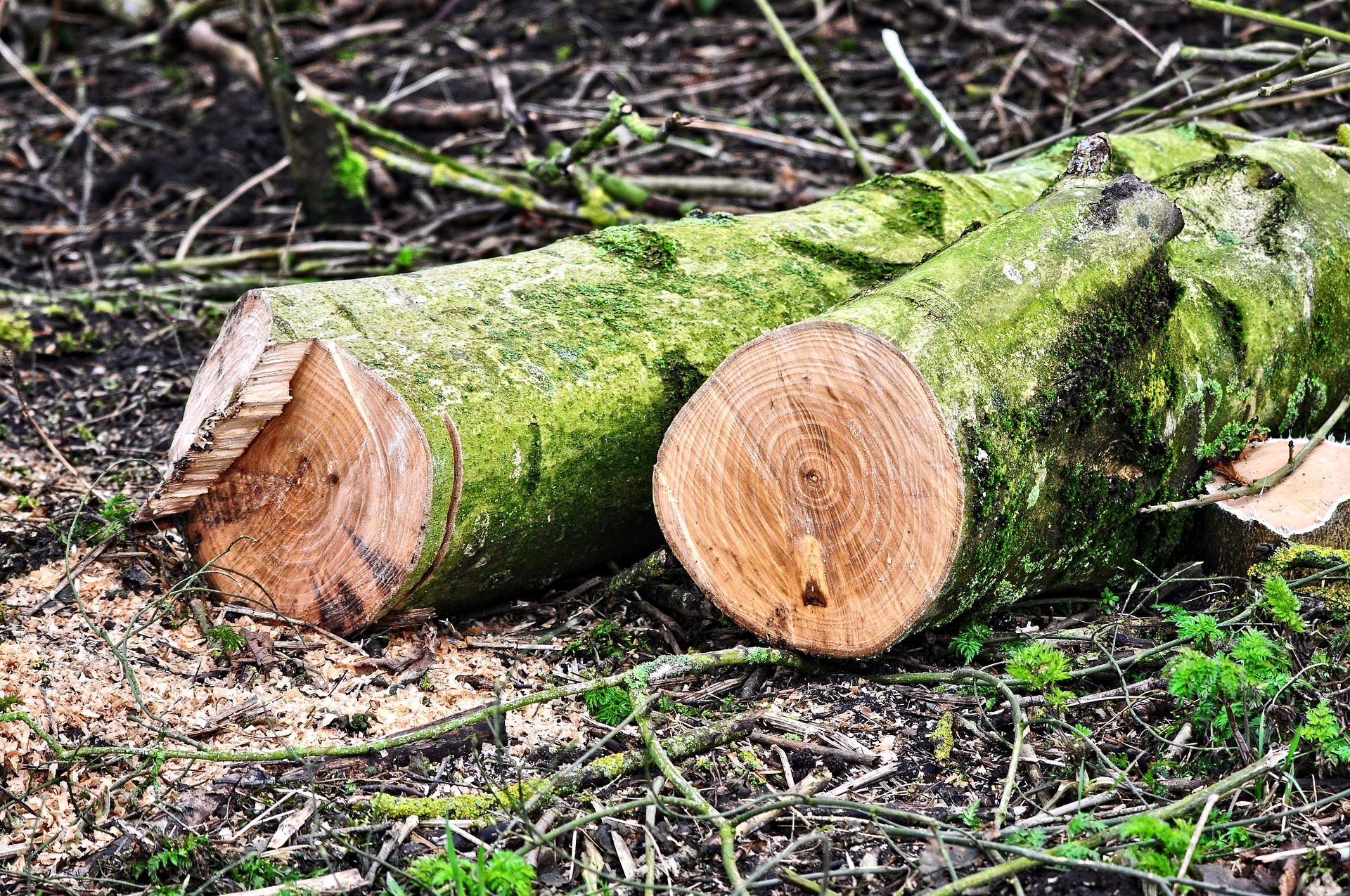 ผลวิจัยเผย ผู้บริโภคต้องการให้ผู้ผลิตรับผิดชอบต่อปัญหาความยั่งยืน