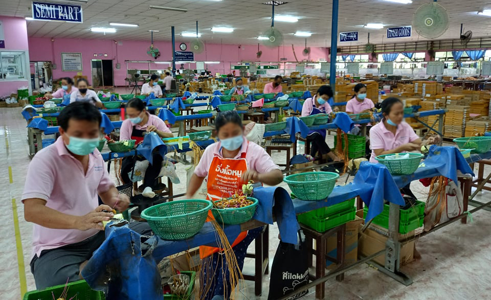 โรงงานชิ้นส่วนอิเล็กทรอนิกส์ ออร์เดอร์ปี 2565 พุ่ง