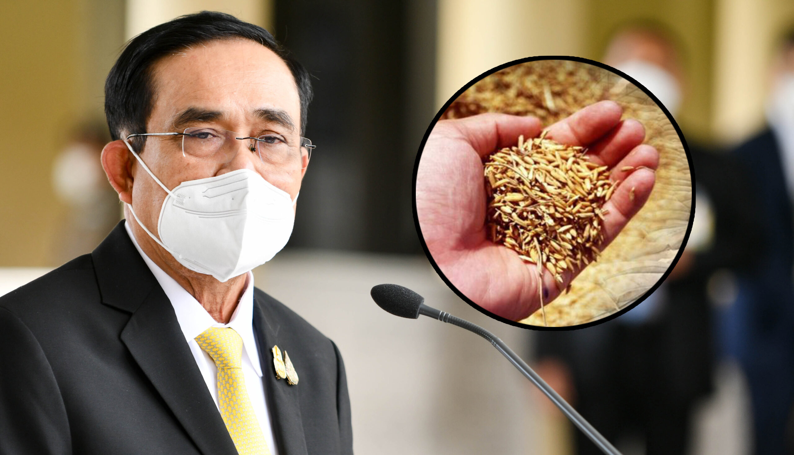 ประยุทธ์ ควันออกหู โกงเงินส่วนต่างประกันราคาข้าว แช่งให้รับกรรม