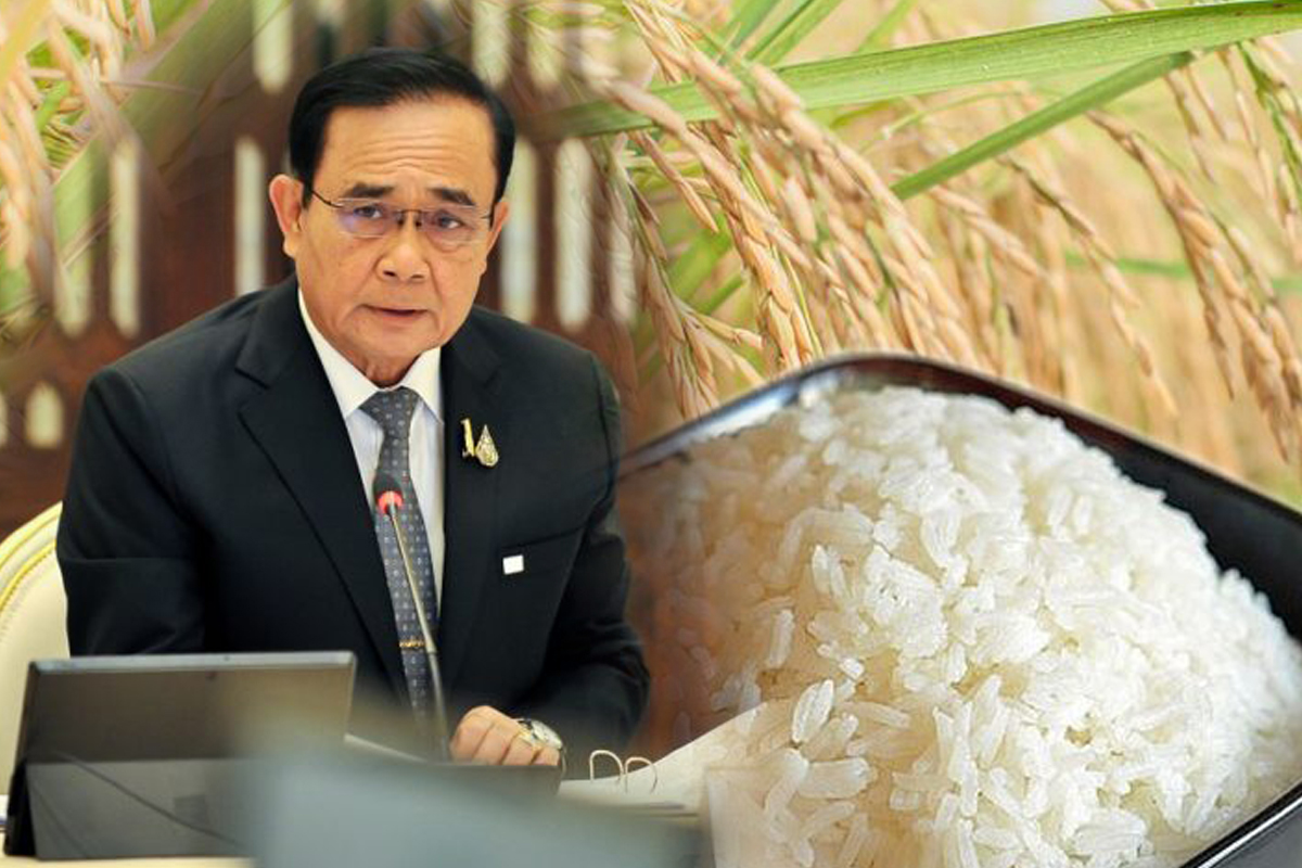 ประยุทธ์ ไฟเขียว อคส.ระบายข้าวติดคดีรัฐบาลยิ่งลักษณ์ 7.4 หมื่นตัน