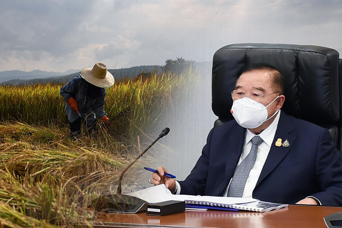 ประวิตรเห็นใจชาวนา ราคาข้าวตกต่ำ เร่งแก้ปัญหา-จ่ายเงินส่วนต่าง