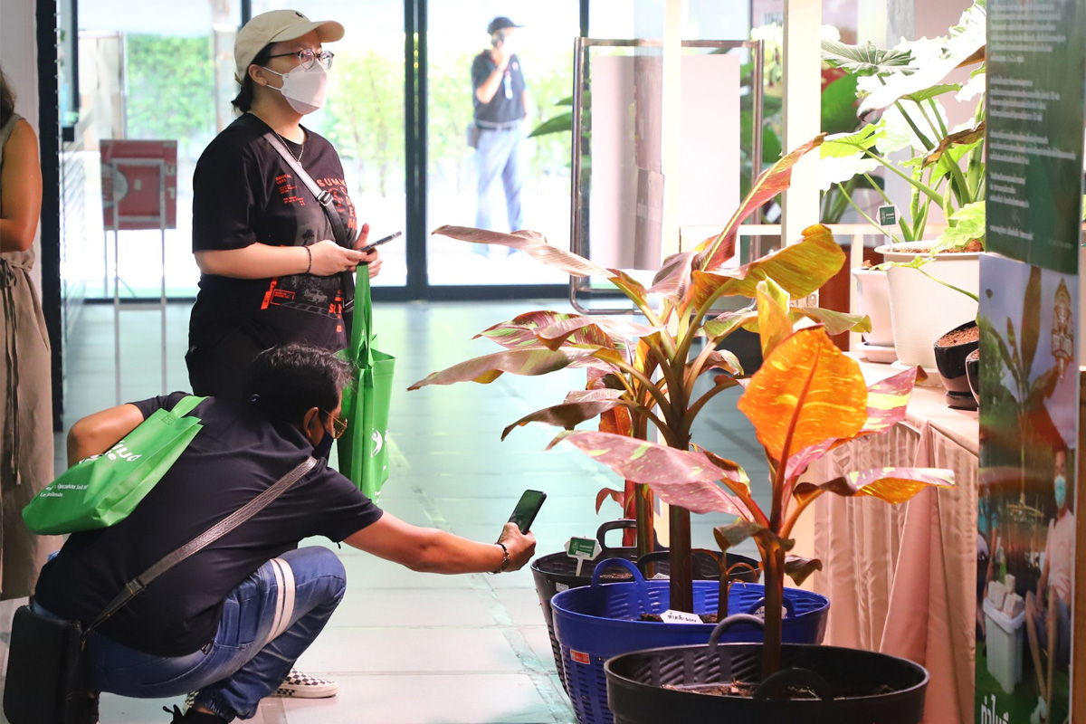 ‘มหัศจรรย์พรรณไม้’ GREEN MARKET ไม้ด่างหายาก สร้างเศรษฐีข้ามคืน
