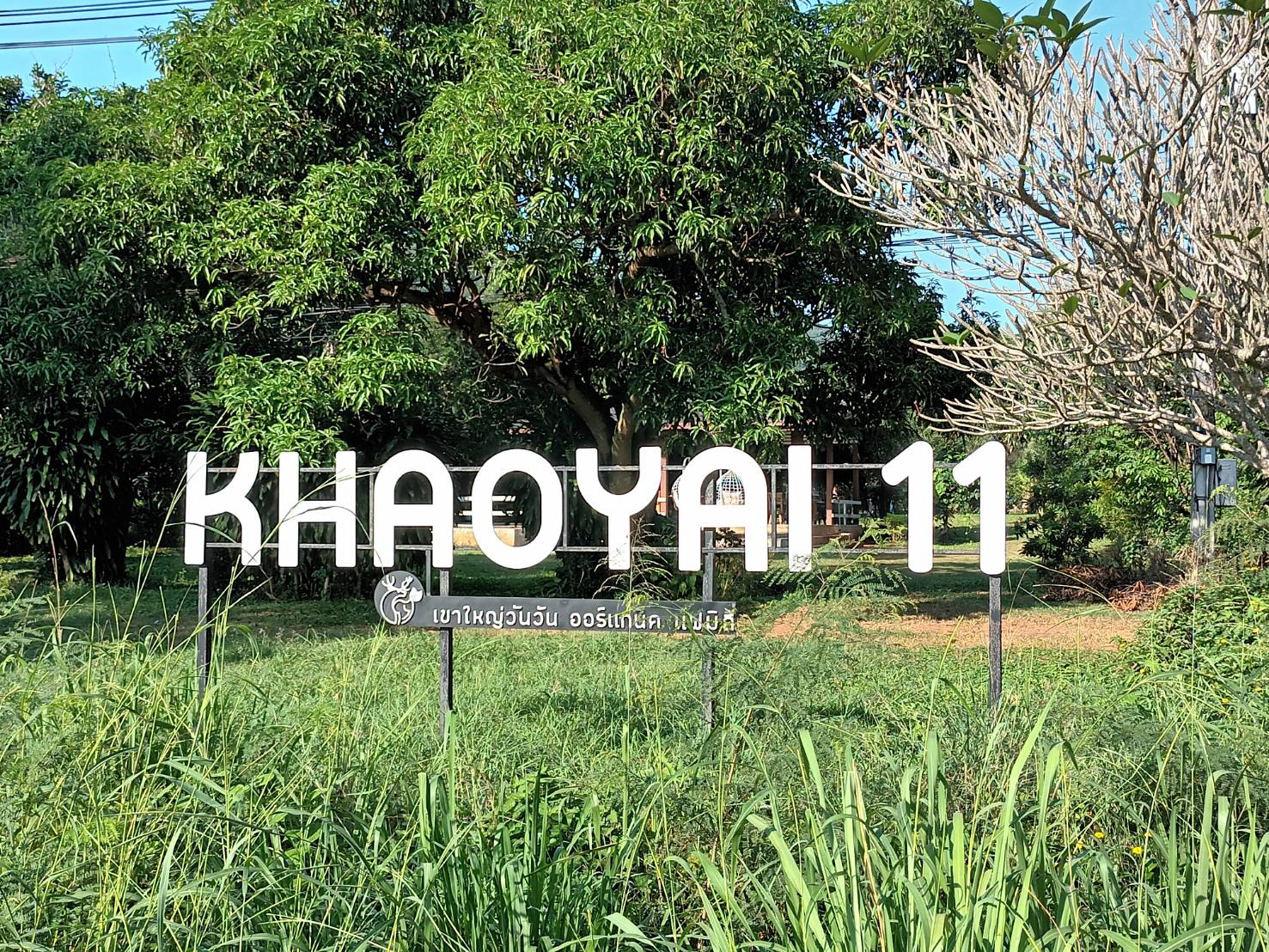 ขับรถท่องเที่ยวเกษตรอินทรีย์-วิถีธรรมชาติ เขาใหญ่ วันวัน ตามรอย “เอ-สุรพันธ์”
