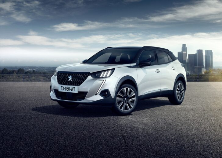 PEUGEOT_CPMARK01_2019_2008_018_DI803_NF01
