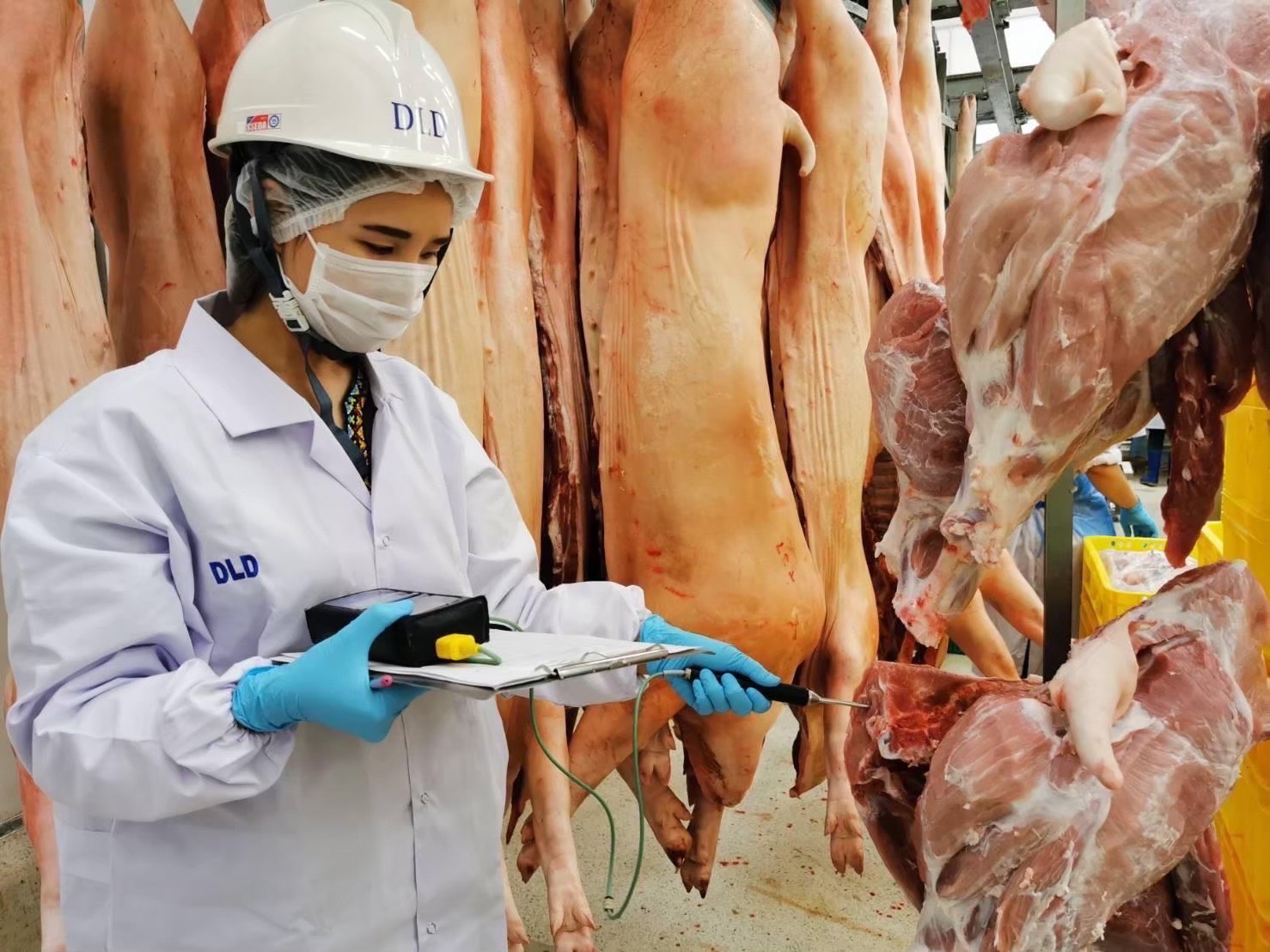 ปศุสัตว์ยืนยัน “หมูปลอดภัย” แม้ปริมาณน้อยกว่าความต้องการตลาด
