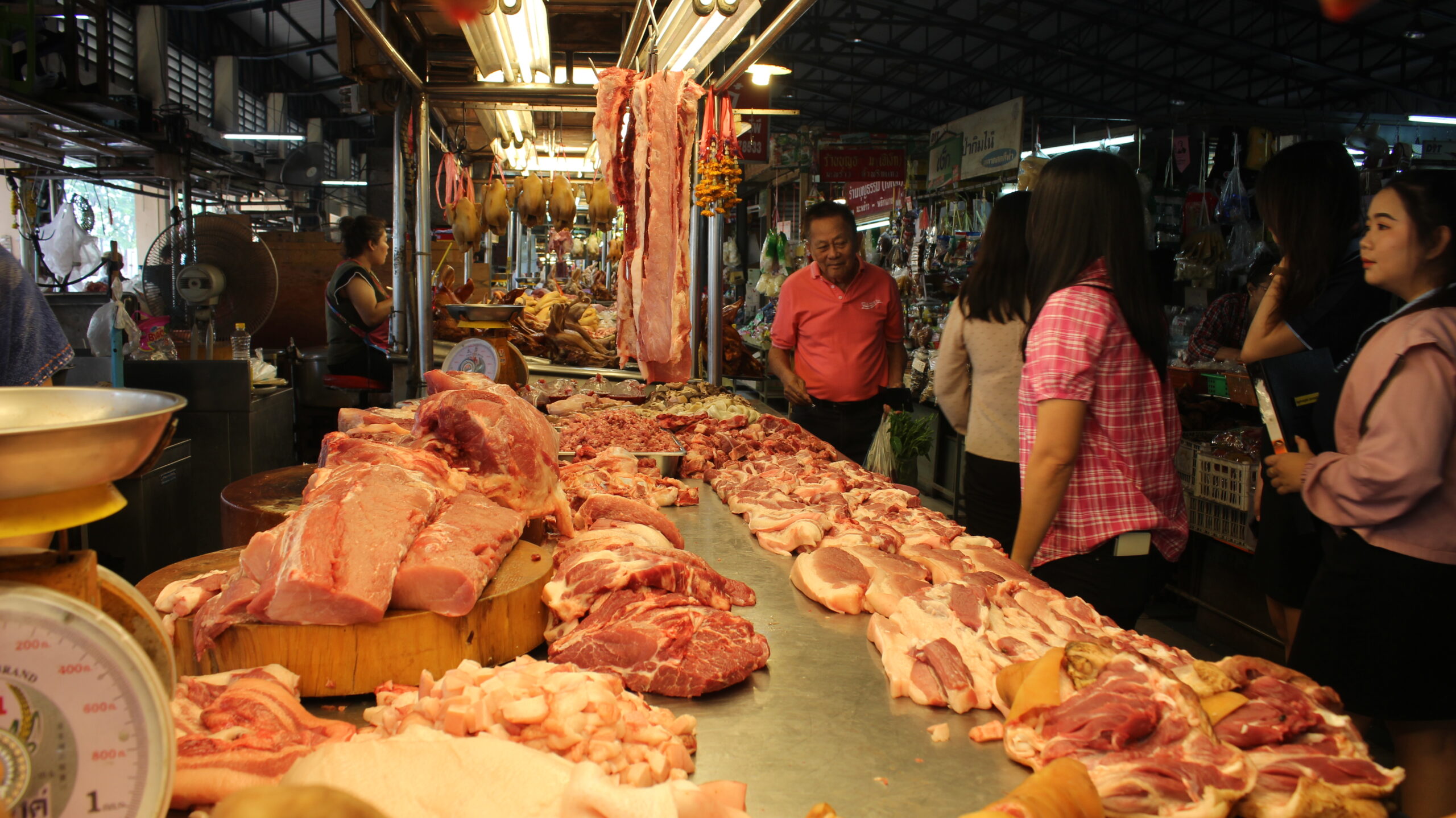 ราชบุรีเมืองหลวงหมูพ่าย ASF ผู้เลี้ยงสูญ 2 แสนล้าน-รัฐเพิ่งตื่นวิจัยวัคซีน