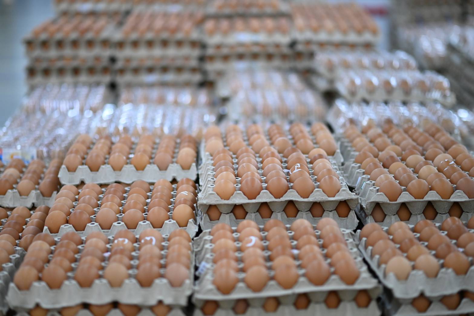 ส่องราคาไข่ไก่ย้อนหลัง 5 ปี