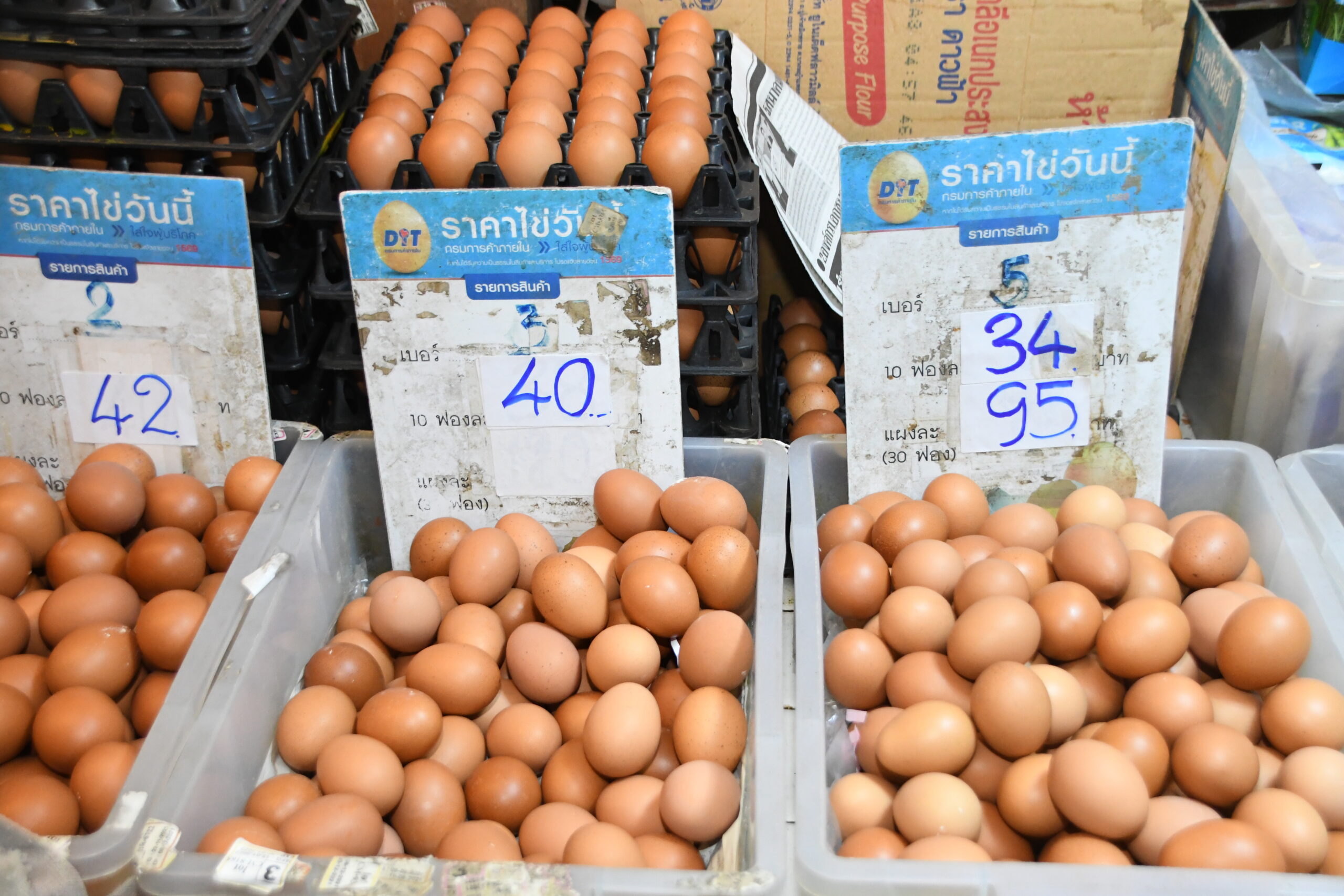 จับจริง ไข่ไก่แพง เจอตลาดประชานิเวศน์ 1