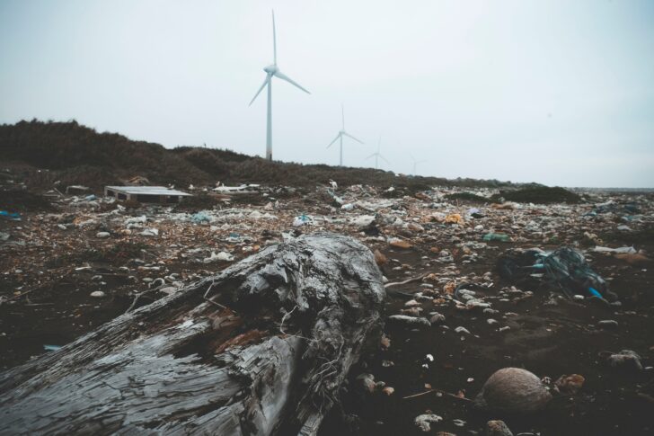 Henry & Co_unsplash
