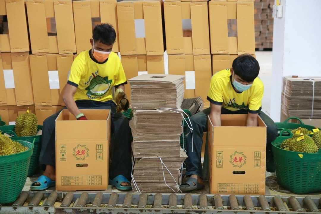 ฟรุตบอร์ด ส่ง อลงกรณ์ ลุยด่านเชียงแสน-เชียงของ ดันส่งออกผัก ผลไม้บุกตลาดจีน