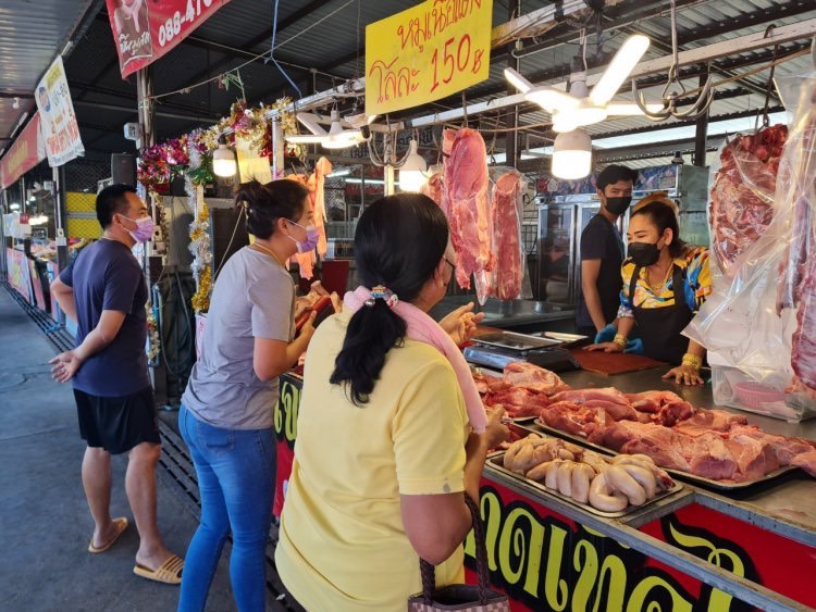 ตรุษจีนไม่ต้องห่วง ! ราคาหมูหน้าฟาร์มลงแล้ว 6 บาท/กิโลกรัม