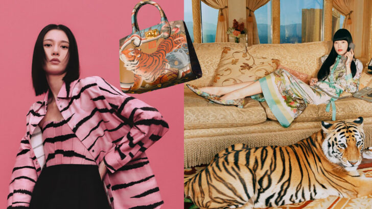 fashion tiger6 ออกลายเสือแฟชั่นปีขาล