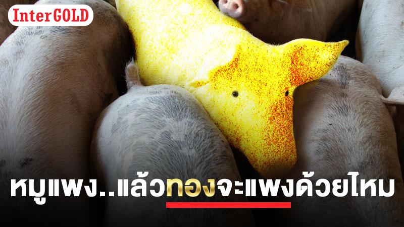 “หมูแพง..แล้วทองจะแพงด้วยไหม”