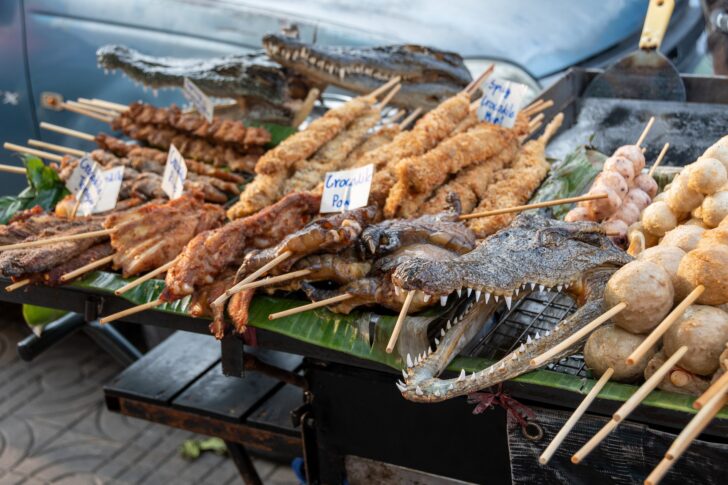 จระเข้ โปรตีนทางเลือก กินอย่างไรให้ถูกวิธี กรมอนามัยชี้แนะ จระเข้ โปรตีนทางเลือก กินอย่างไรให้ถูกวิธี กรมอนามัยชี้แนะ