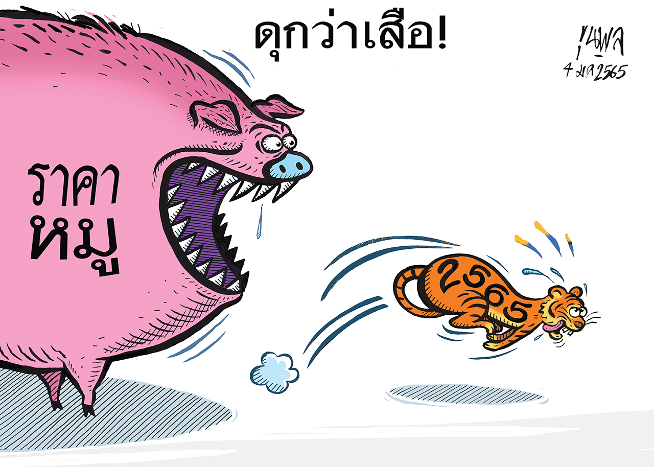 การ์ตูนขุนพล : ดุกว่าเสือ ราคาหมู