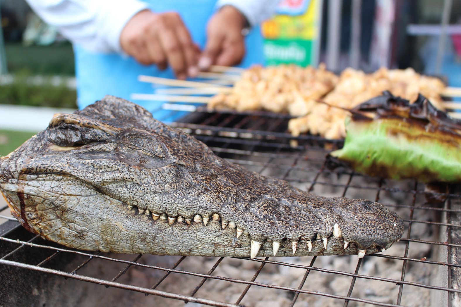 “จระเข้” เนื้อสัตว์ทางเลือก เริ่มต้นกิโลละ 70 บาท แก้ปัญหาหมู-ไข่ไก่ แพง
