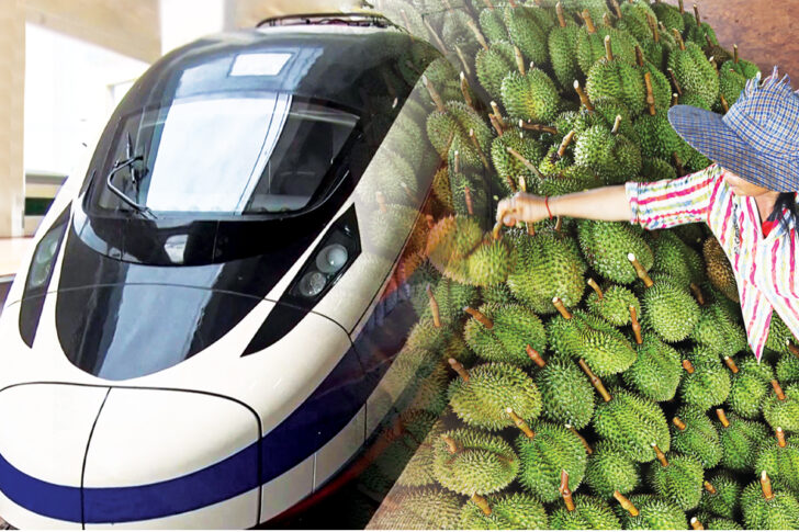 ทุเรียนตะวันออก