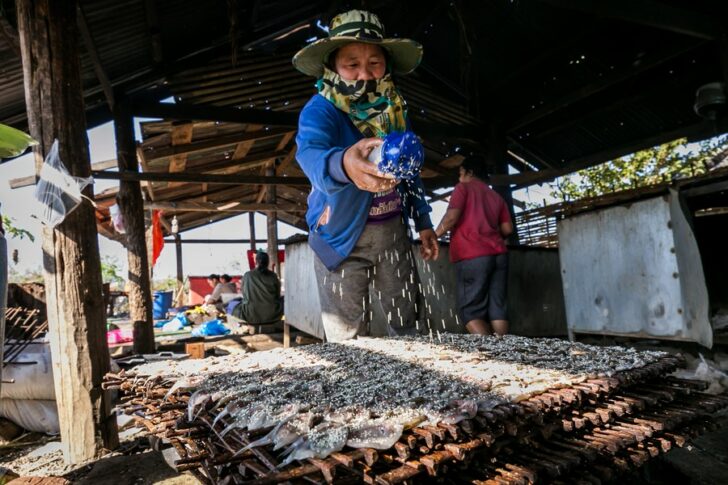 ลาว-ห้ามนำเข้า-สินค้าเกษตร-บางชนิด-หนุนการ