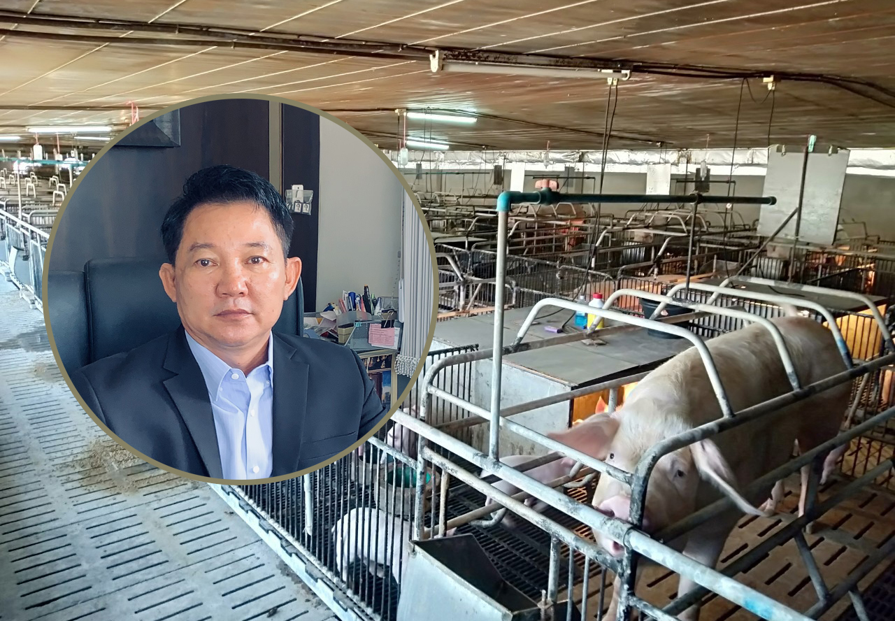 นิพัฒน์ เนื้อนิ่ม นายกฯหมูราชบุรีแจงทำไมหมูแพง? ผู้บริโภคเจ็บ คนเลี้ยงเจ๊ง