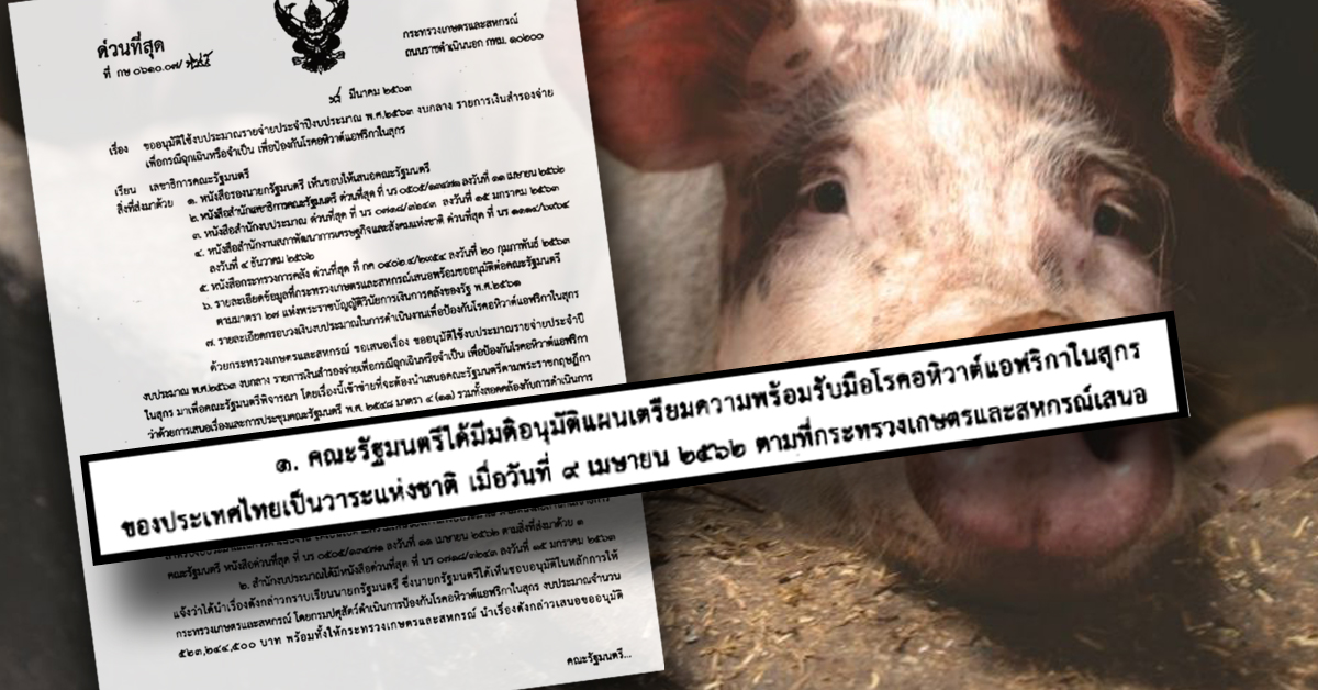 เปิดมติ ครม.แก้อหิวาต์แอฟริกันในหมู 4 ครั้ง เกือบพันล้านบาท