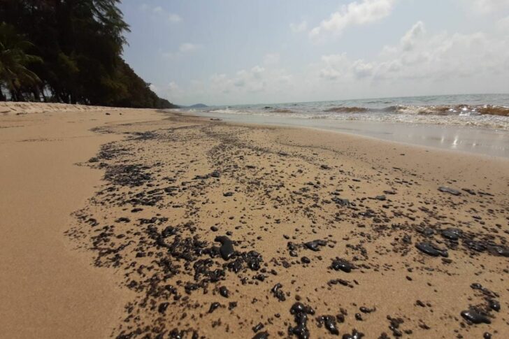 หาดแม่รำถึง น้ำมันรั่ว (1) หาดแม่รำถึง น้ำมันรั่ว