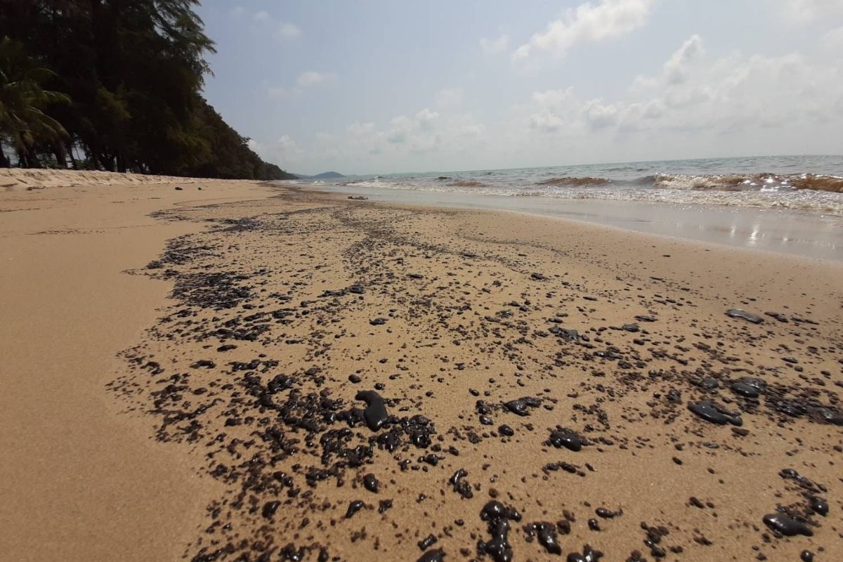 ผู้ว่าฯระยอง ประกาศปิดหาดแม่รำพึง หลังคราบน้ำมันเกลื่อนหาด