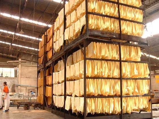 ปี65 ส่งออกสินค้าเกษตรไทยสดใส ต่อเนื่องปี 64 โกย 1.3 ล้านล้านบาท