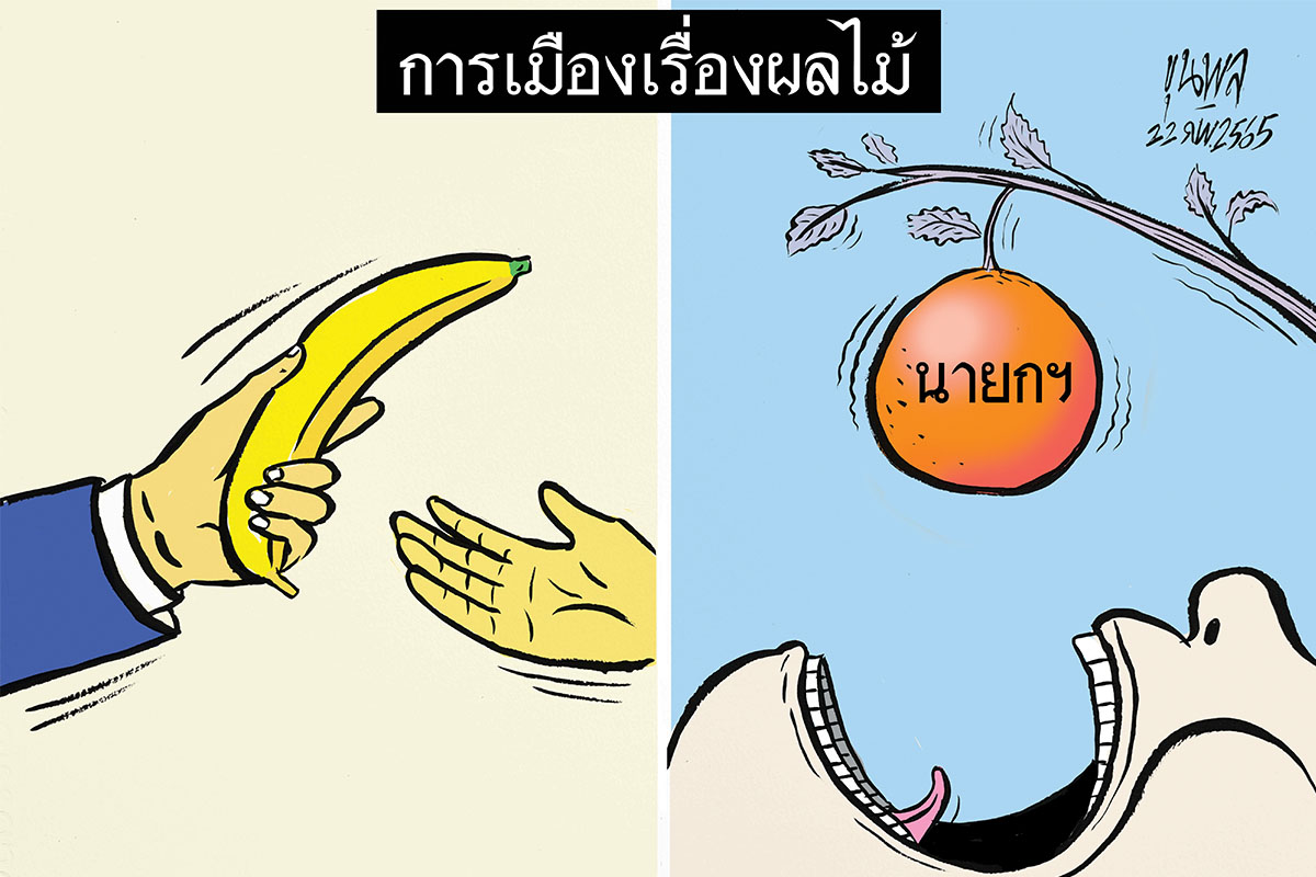 การ์ตูนขุนพล : การเมืองเรื่องผลไม้