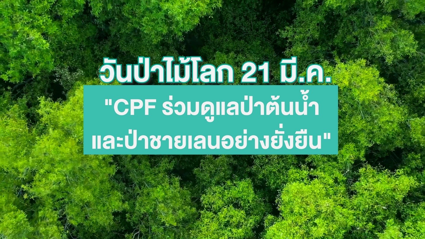 21 มีนาคม “วันป่าไม้โลก” CPF ร่วมฟื้นฟูป่าต้นน้ำ-ป่าชายเลน สร้างความมั่นคงทางอาหาร บนพื้นฐานทรัพยากรธรรมชาติที่สมบูรณ์
